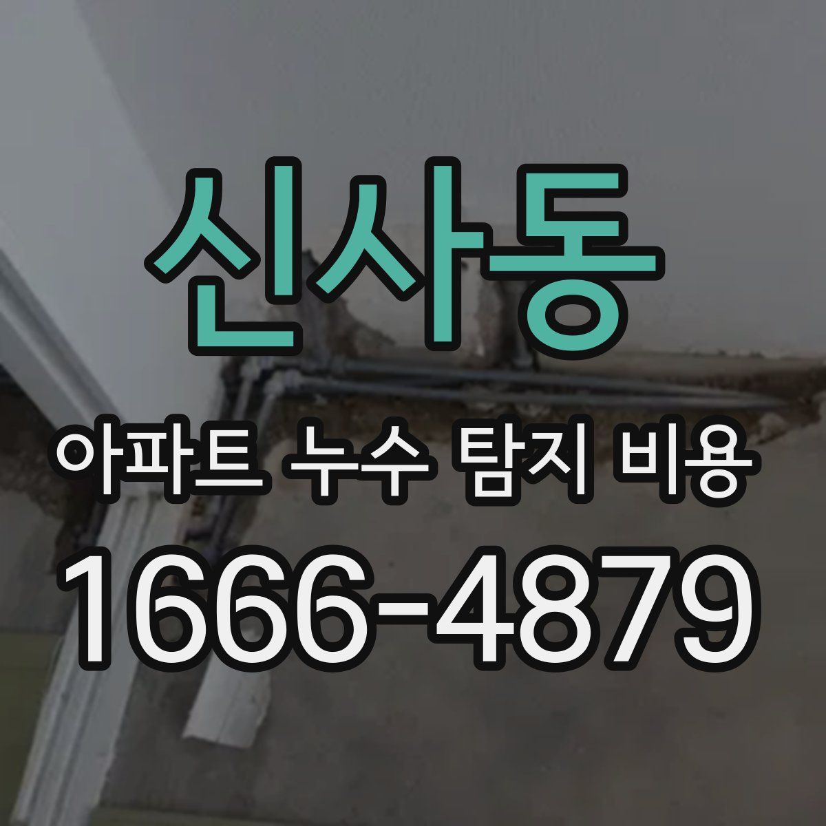 신사동 아파트 누수 탐지 비용