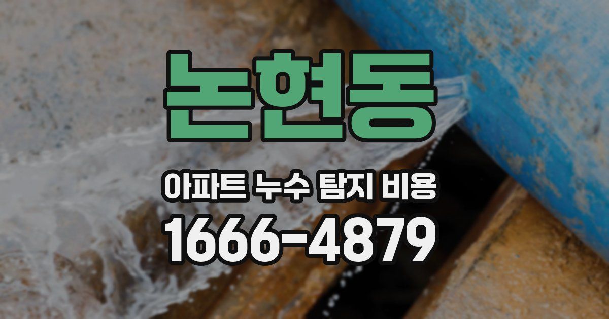 논현동 아파트 누수 탐지 비용