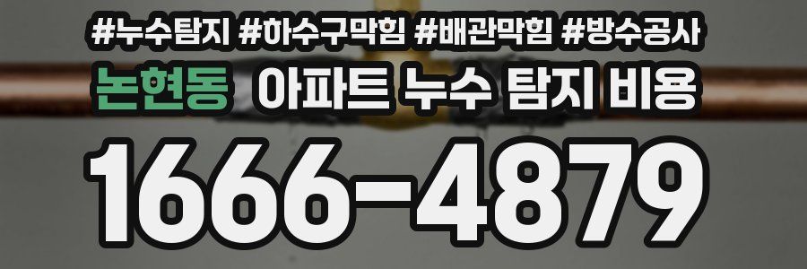 논현동 아파트 누수 탐지 비용