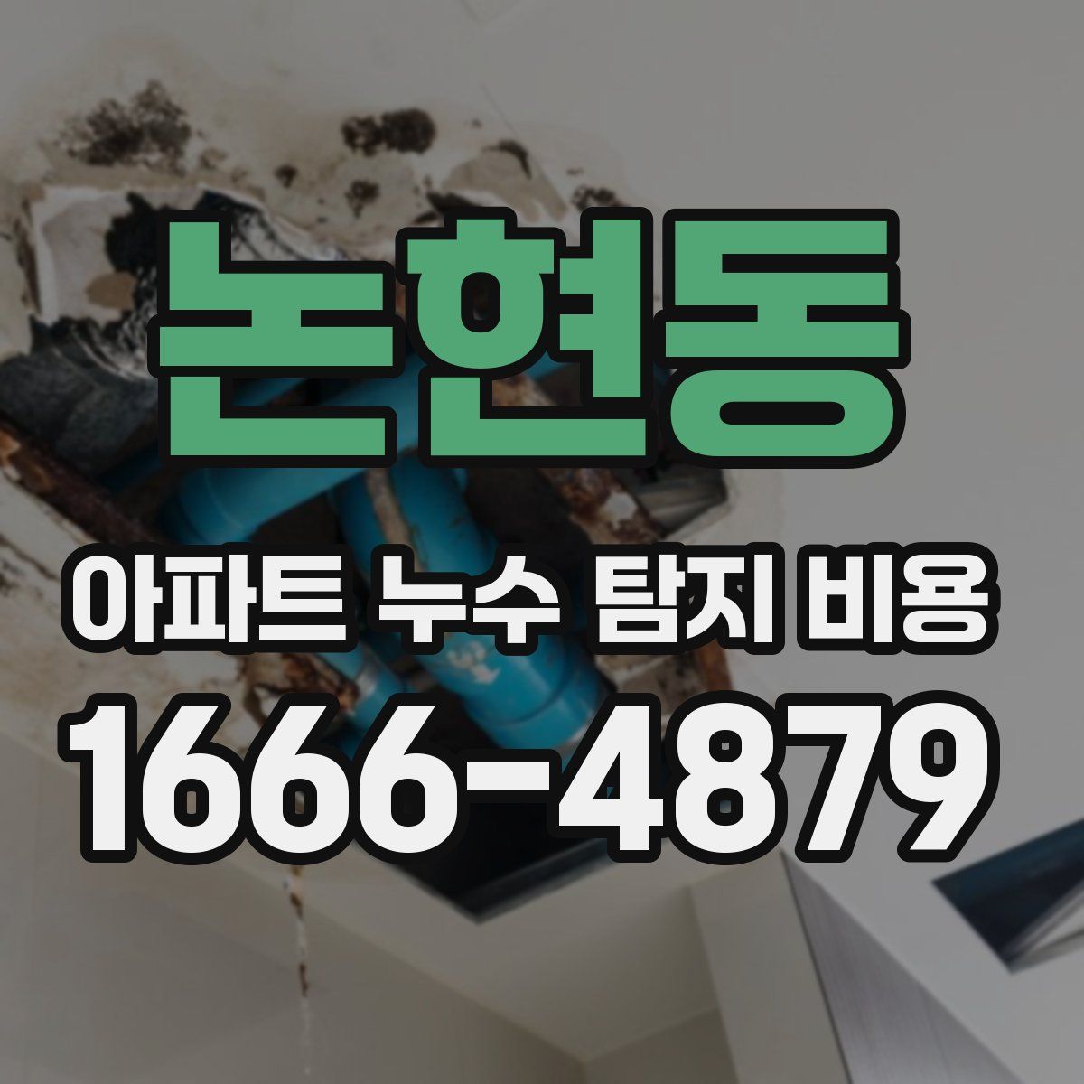 논현동 아파트 누수 탐지 비용