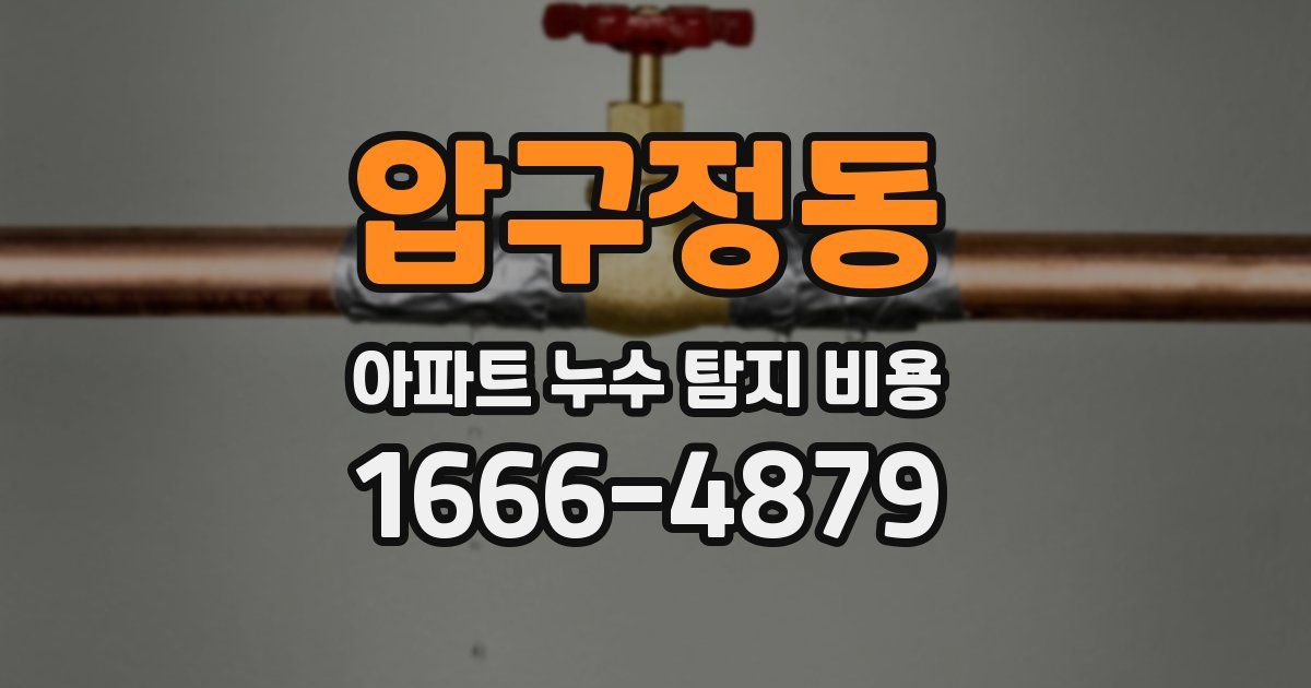 압구정동 아파트 누수 탐지 비용