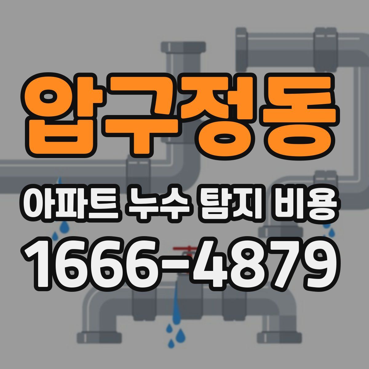 압구정동 아파트 누수 탐지 비용