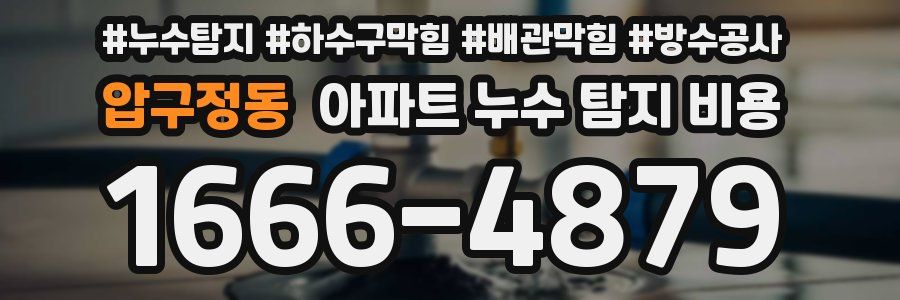 압구정동 아파트 누수 탐지 비용