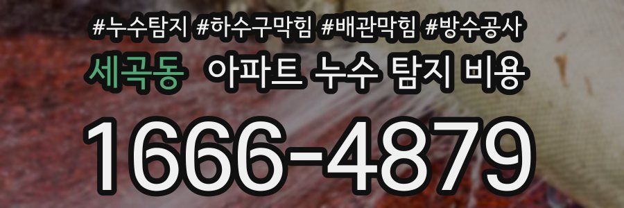 세곡동 아파트 누수 탐지 비용