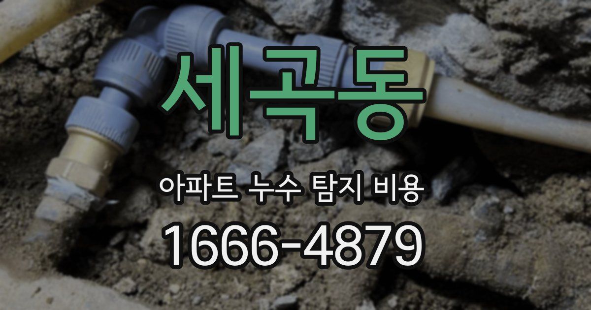 세곡동 아파트 누수 탐지 비용