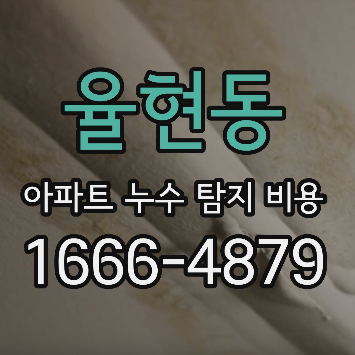 율현동 아파트 누수 탐지 비용