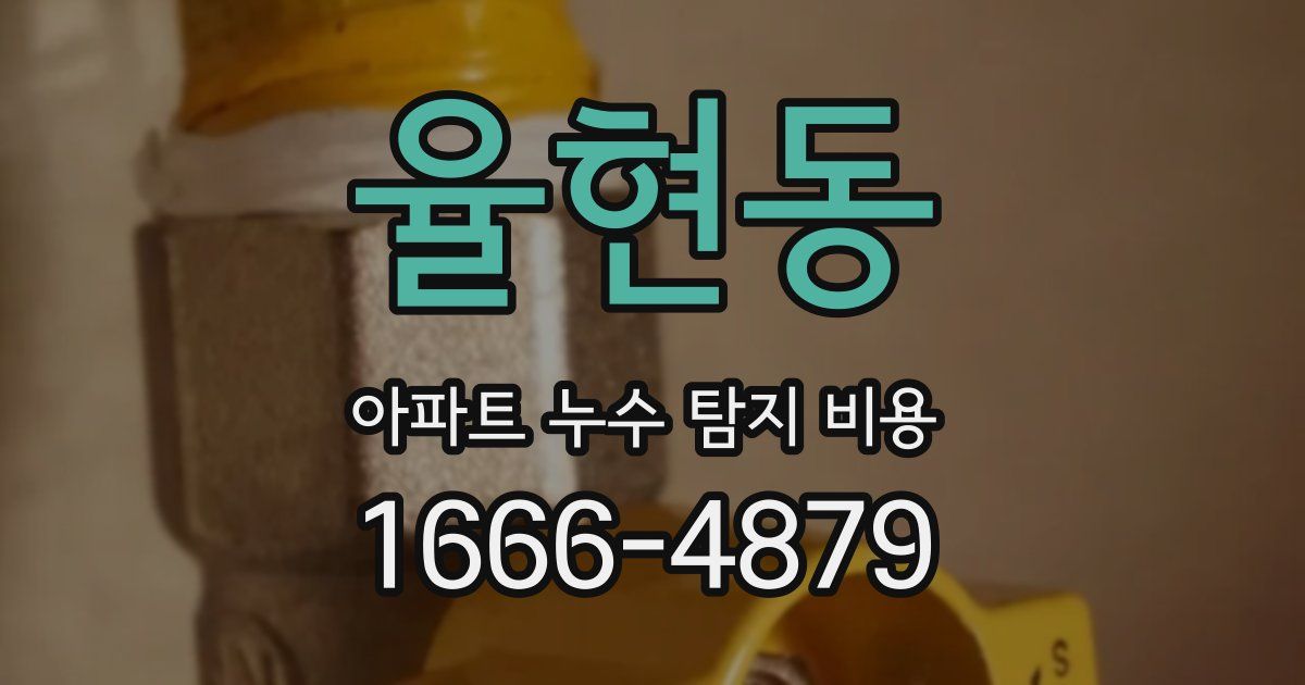 율현동 아파트 누수 탐지 비용