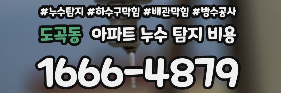 도곡동 아파트 누수 탐지 비용