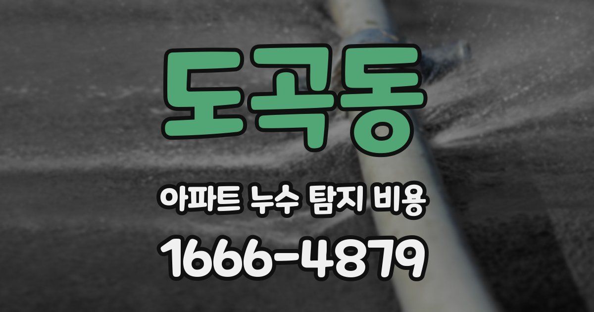 도곡동 아파트 누수 탐지 비용