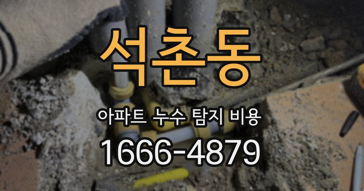 석촌동 아파트 누수 탐지 비용
