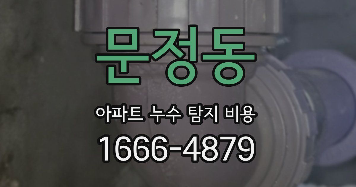 문정동 아파트 누수 탐지 비용