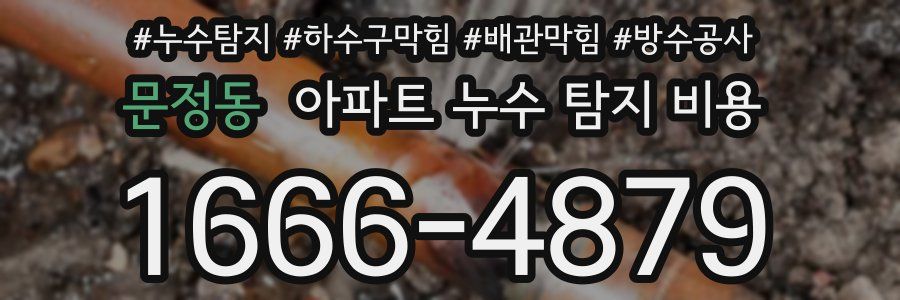문정동 아파트 누수 탐지 비용