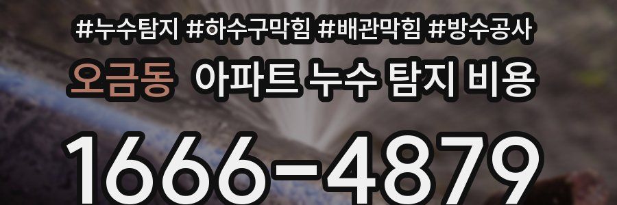 오금동 아파트 누수 탐지 비용