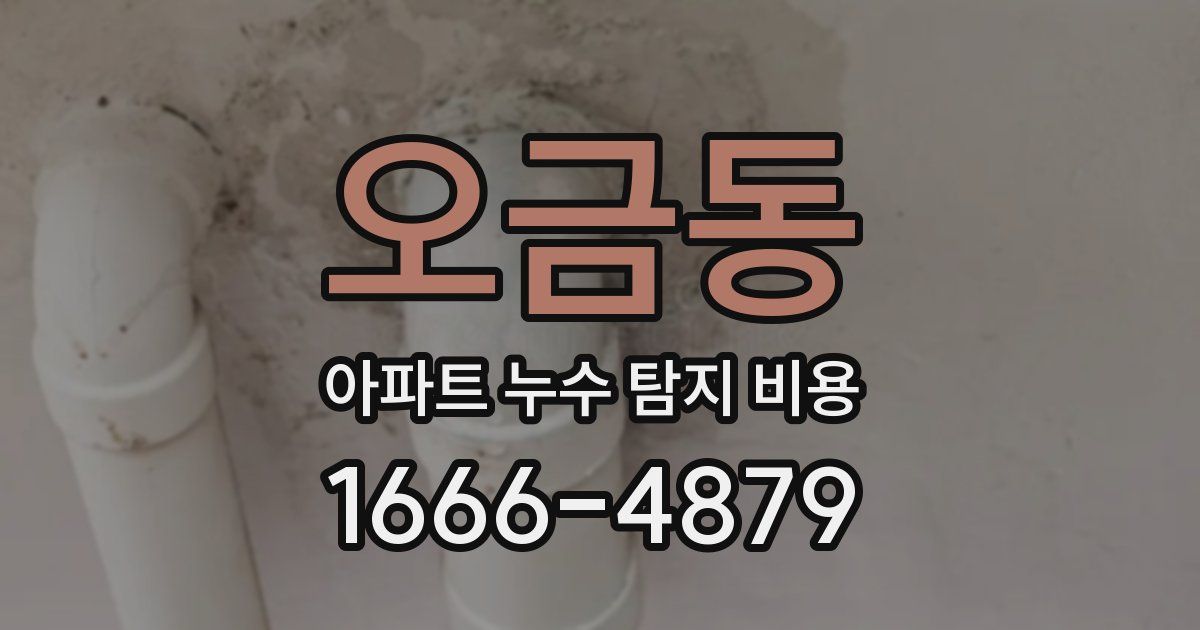 오금동 아파트 누수 탐지 비용