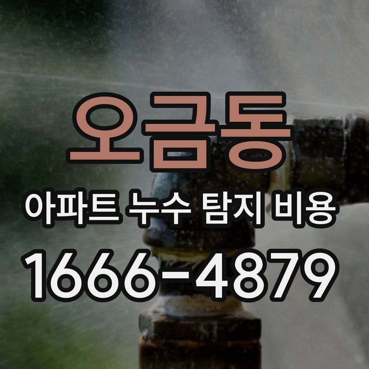 오금동 아파트 누수 탐지 비용