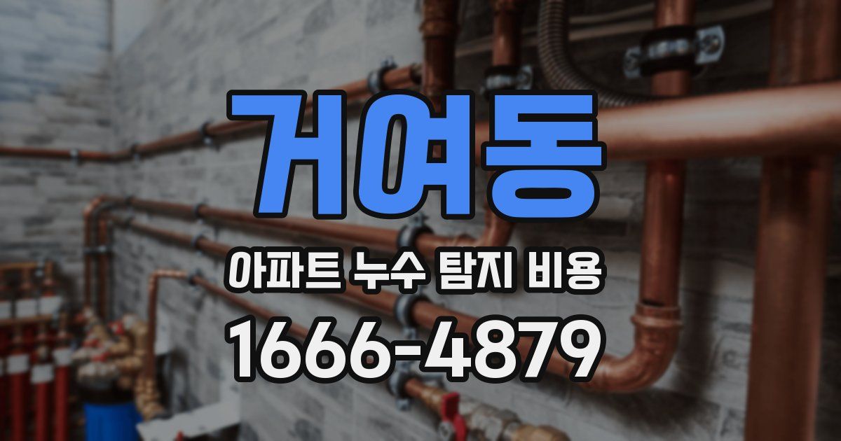 거여동 아파트 누수 탐지 비용