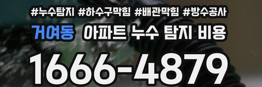 거여동 아파트 누수 탐지 비용