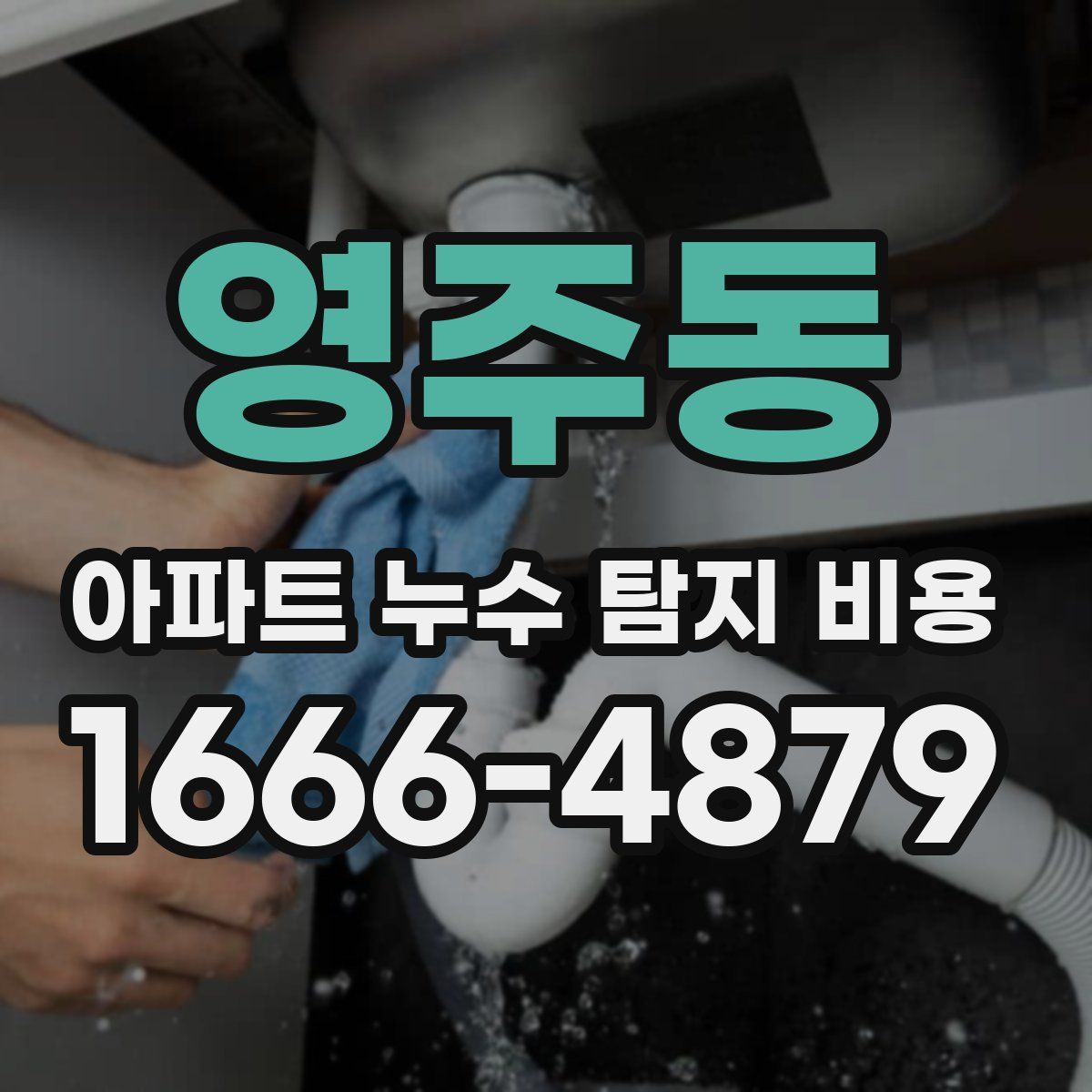 영주동 아파트 누수 탐지 비용