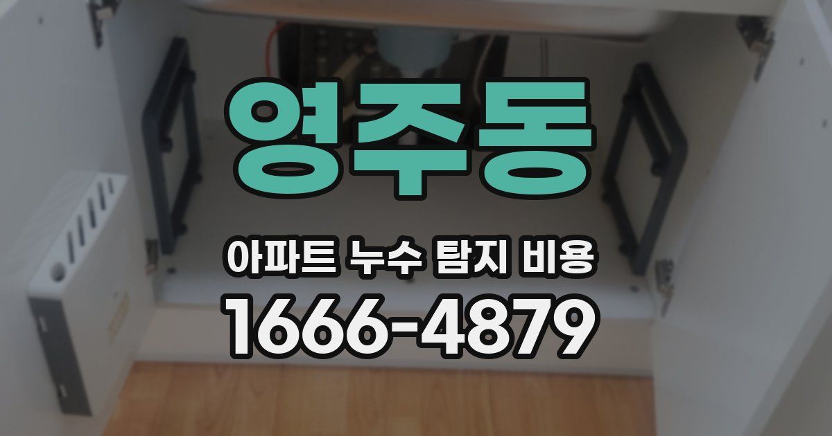 영주동 아파트 누수 탐지 비용