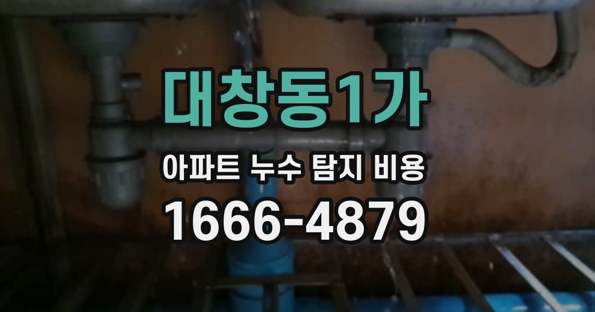 대창동1가 아파트 누수 탐지 비용