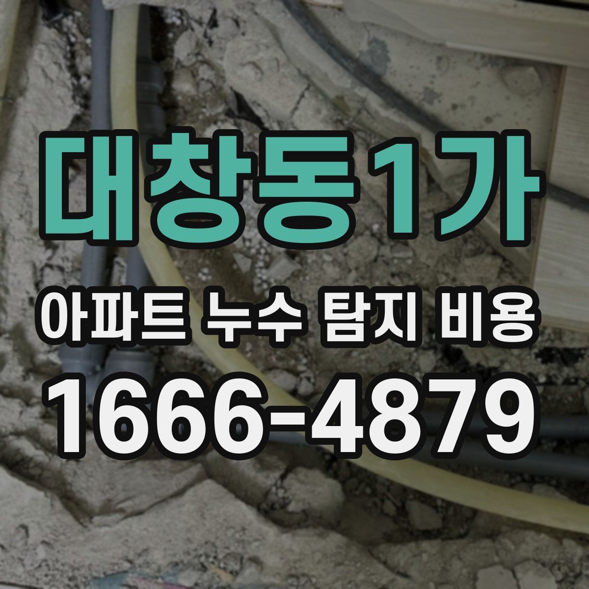 대창동1가 아파트 누수 탐지 비용