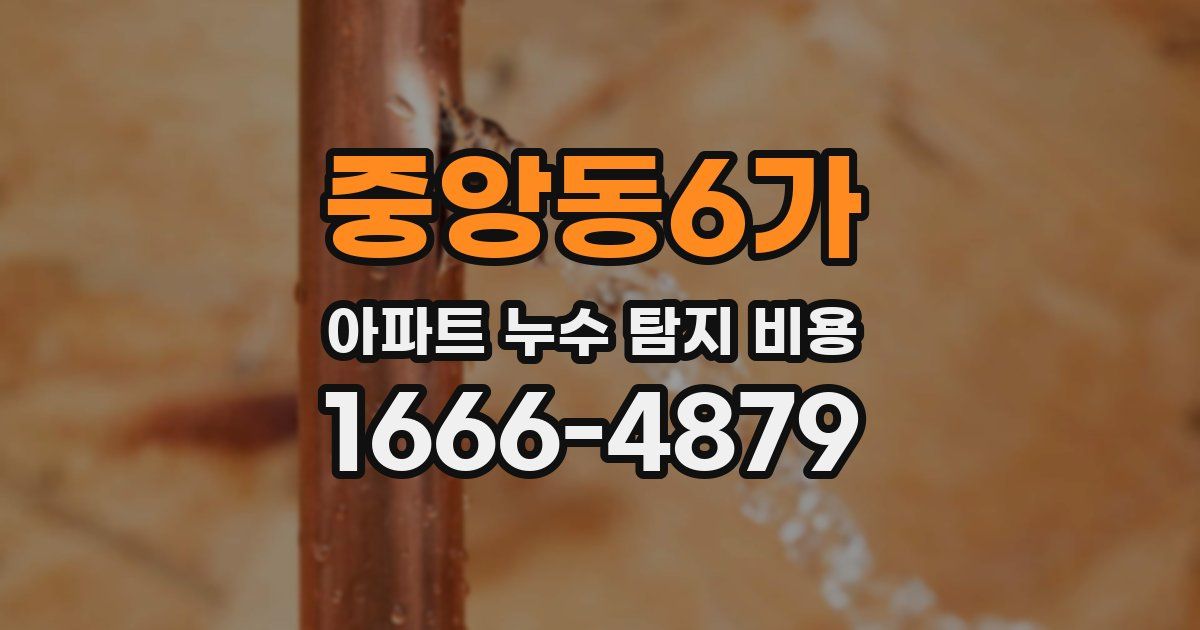 중앙동6가 아파트 누수 탐지 비용