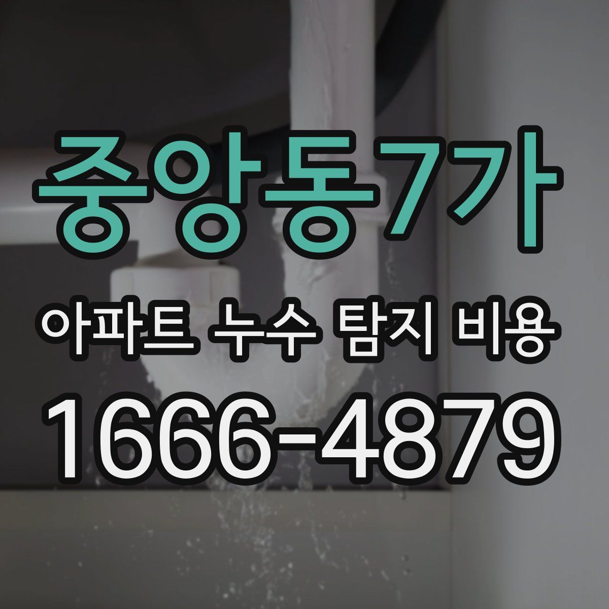 중앙동7가 아파트 누수 탐지 비용