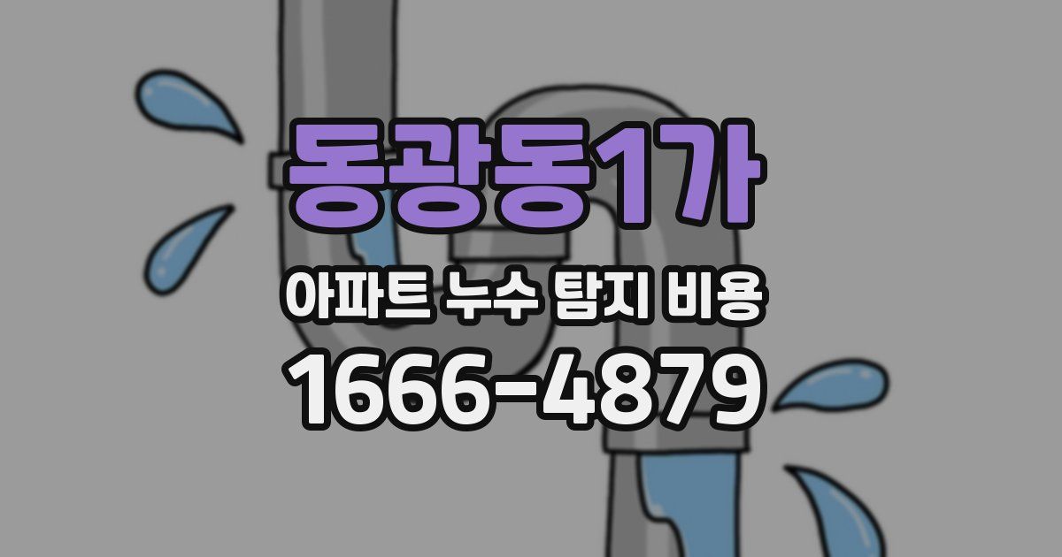 동광동1가 아파트 누수 탐지 비용