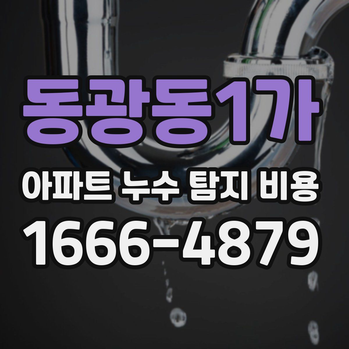 동광동1가 아파트 누수 탐지 비용
