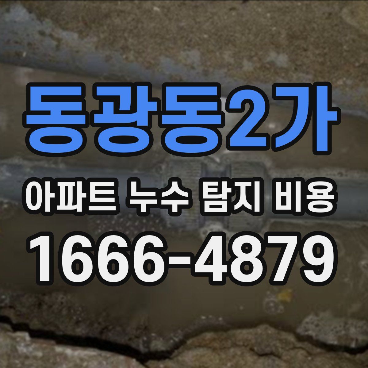 동광동2가 아파트 누수 탐지 비용