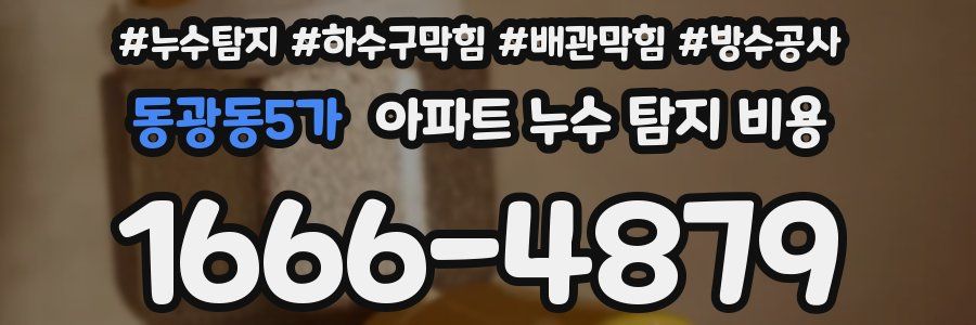 동광동5가 아파트 누수 탐지 비용