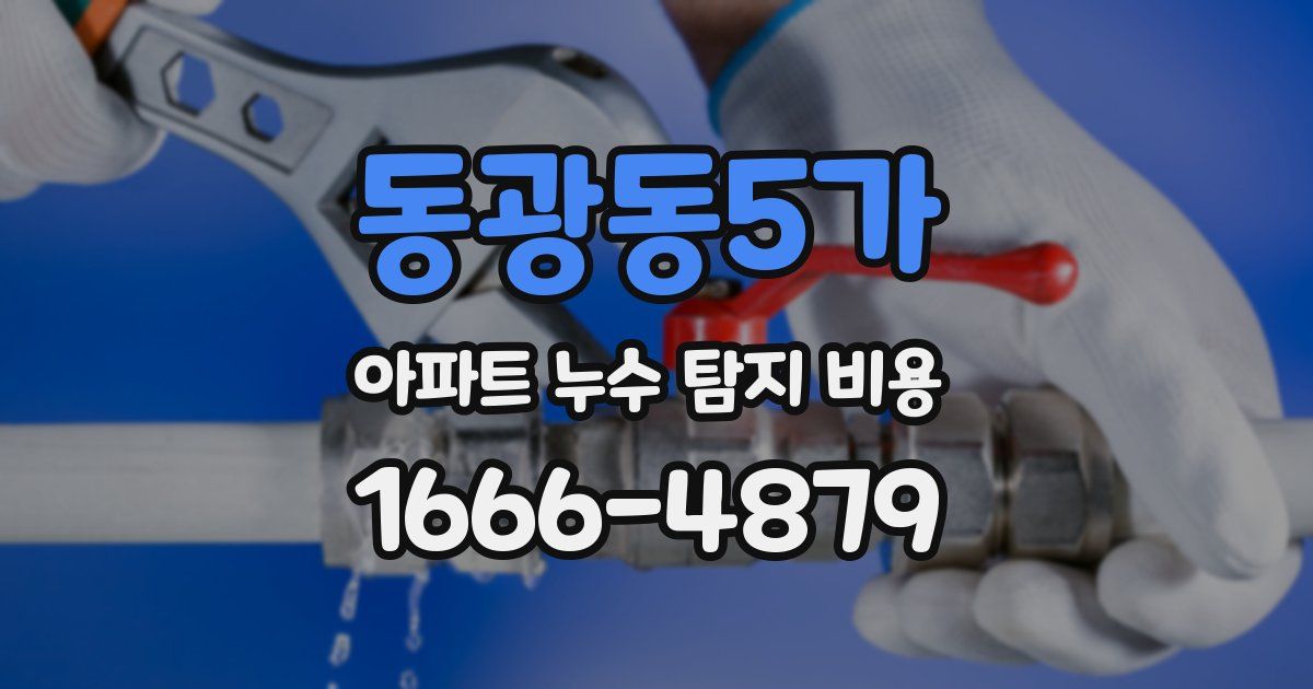 동광동5가 아파트 누수 탐지 비용
