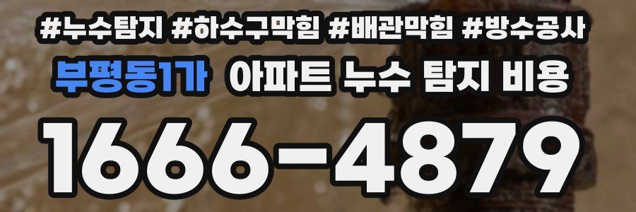 부평동1가 아파트 누수 탐지 비용