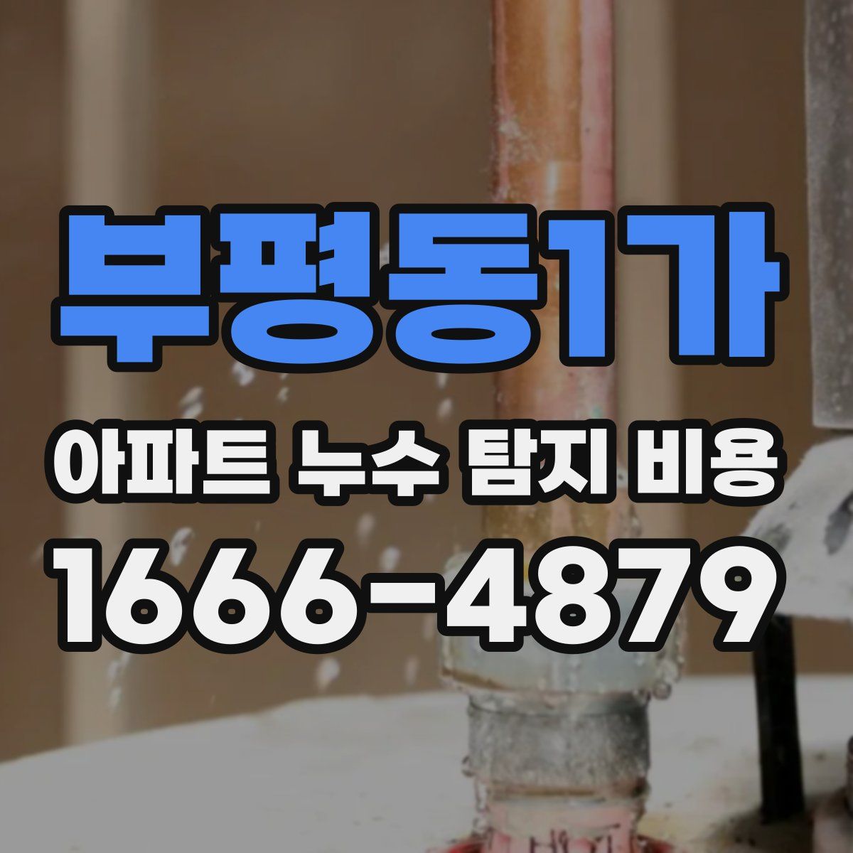 부평동1가 아파트 누수 탐지 비용