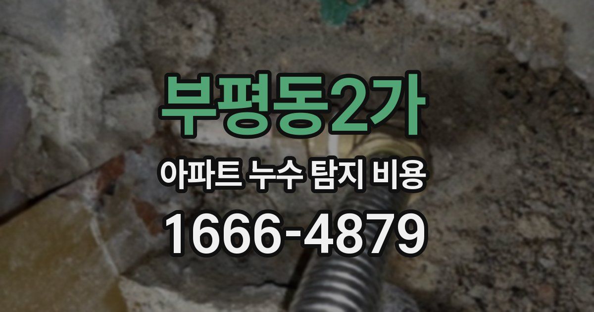 부평동2가 아파트 누수 탐지 비용