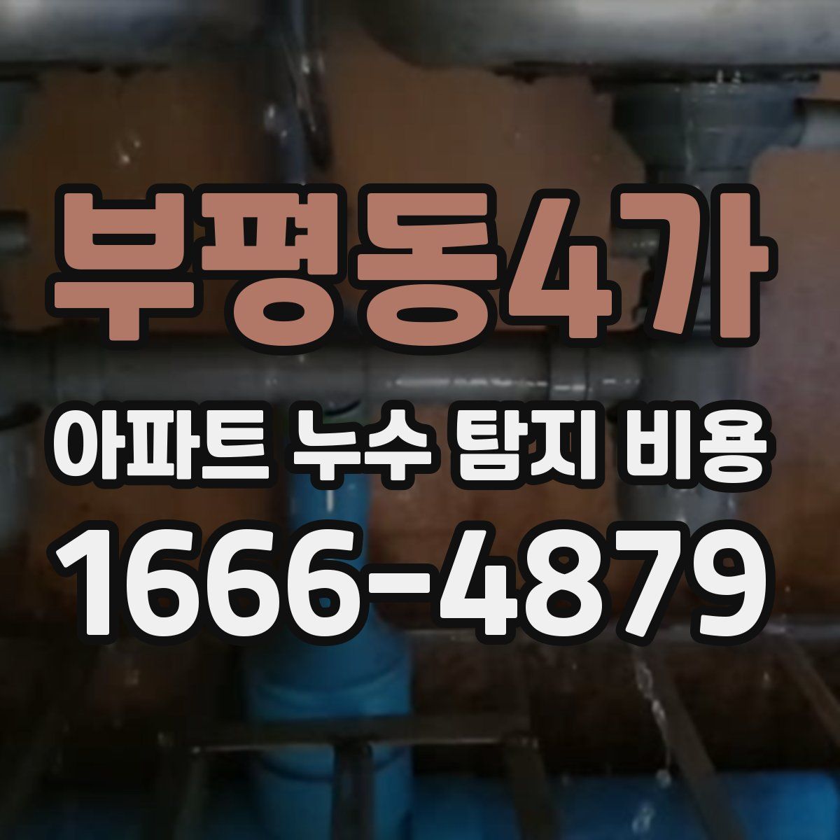 부평동4가 아파트 누수 탐지 비용
