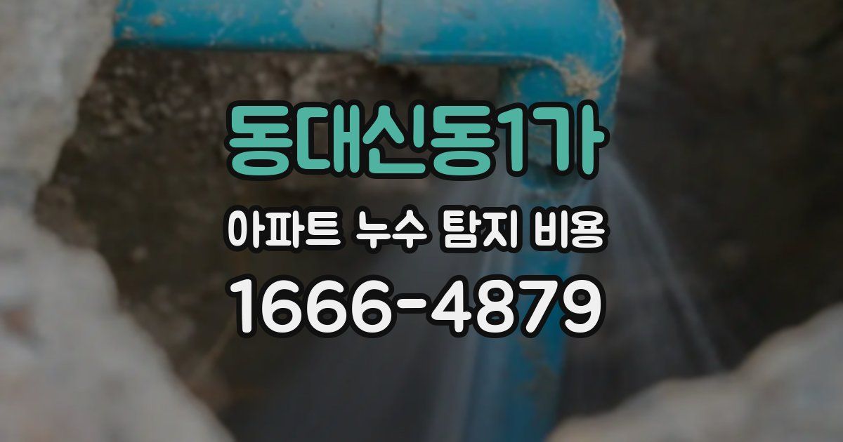 동대신동1가 아파트 누수 탐지 비용