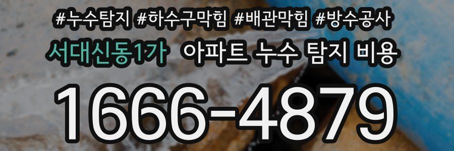 서대신동1가 아파트 누수 탐지 비용