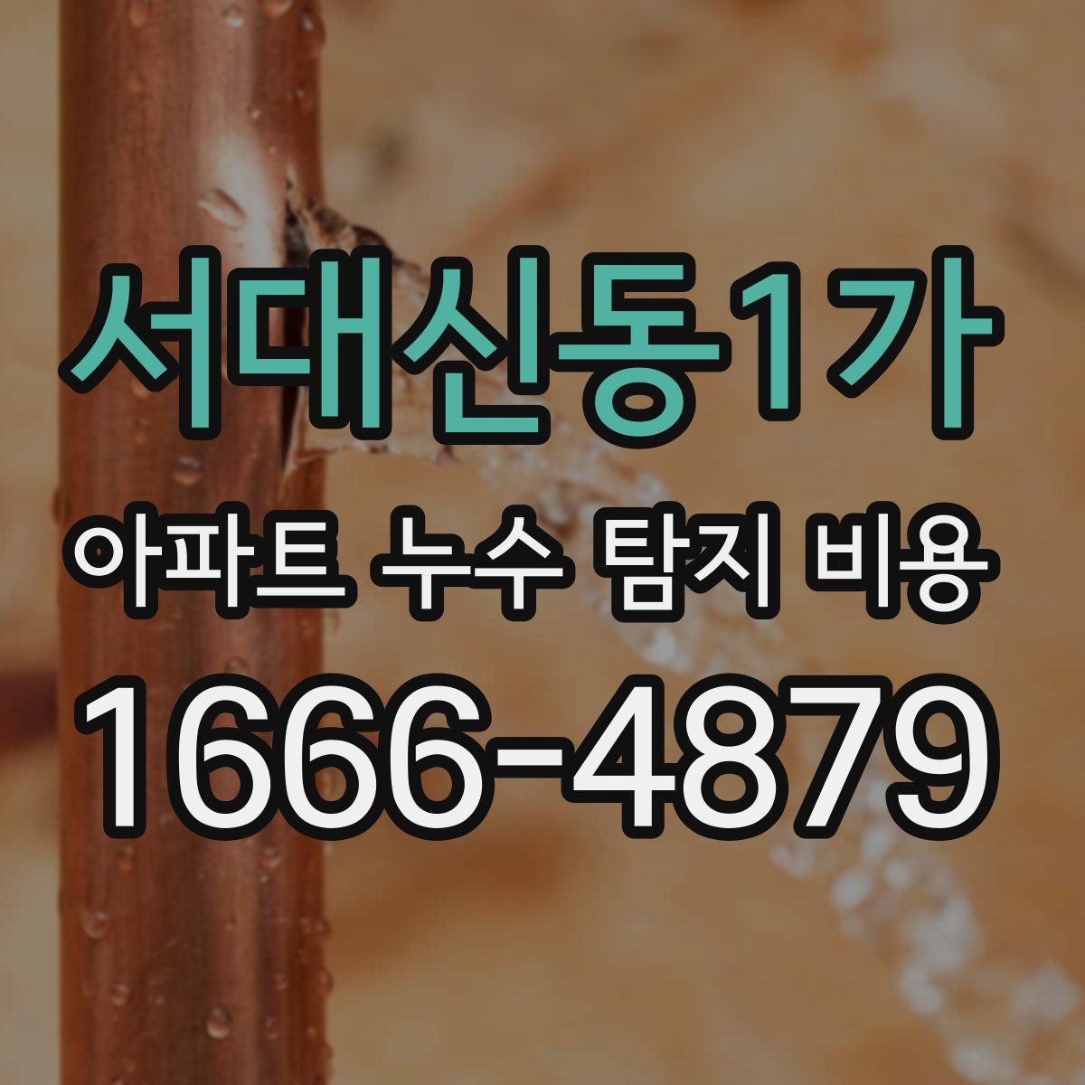 서대신동1가 아파트 누수 탐지 비용