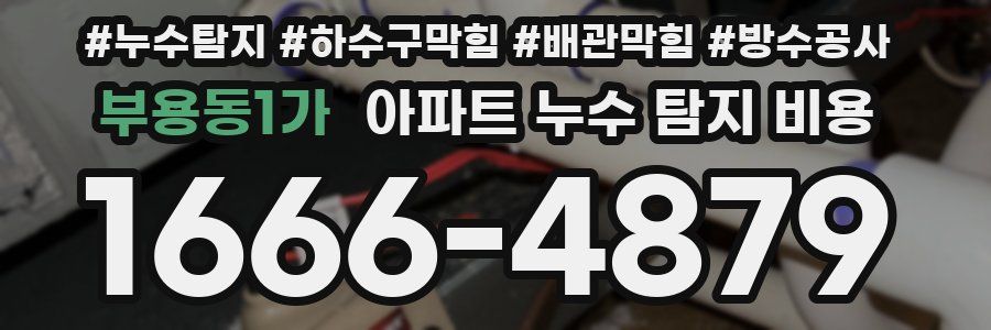 부용동1가 아파트 누수 탐지 비용