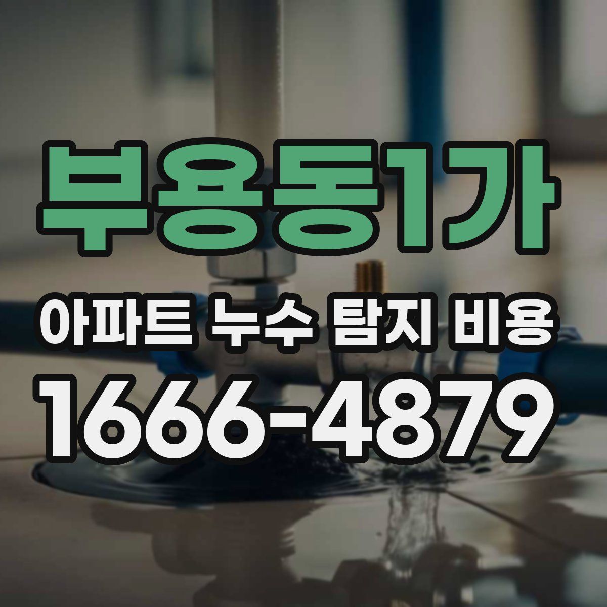 부용동1가 아파트 누수 탐지 비용