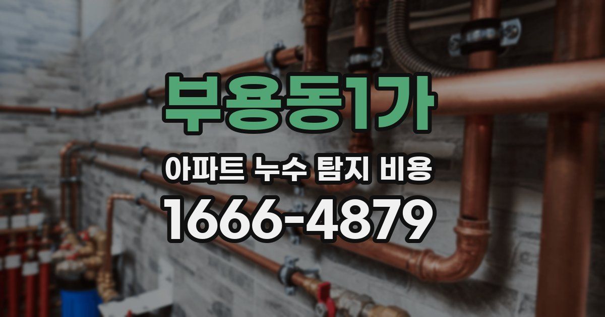 부용동1가 아파트 누수 탐지 비용