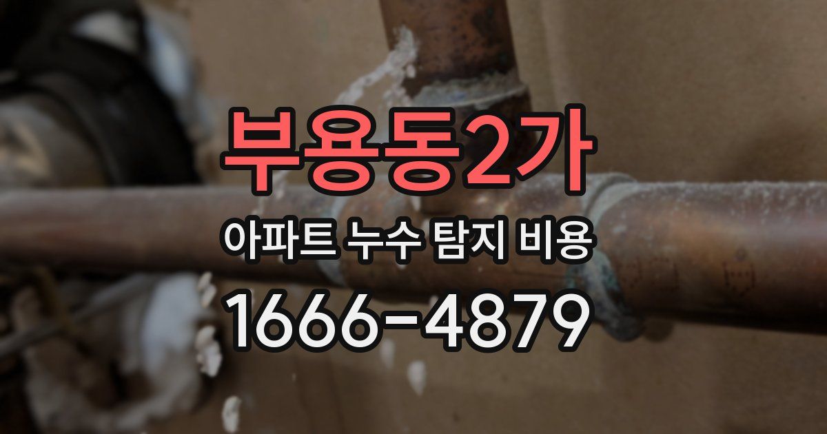 부용동2가 아파트 누수 탐지 비용