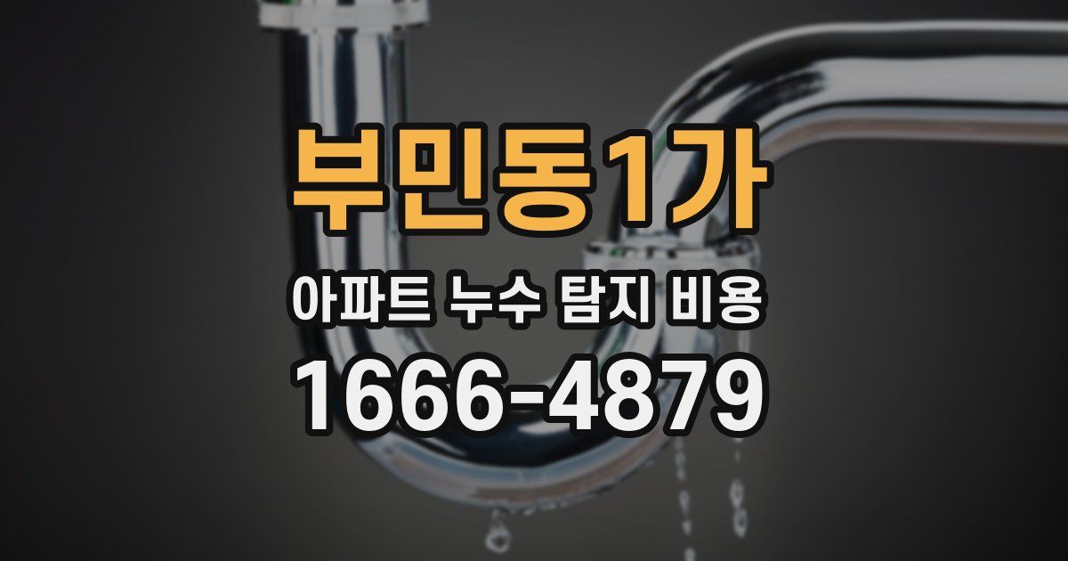 부민동1가 아파트 누수 탐지 비용