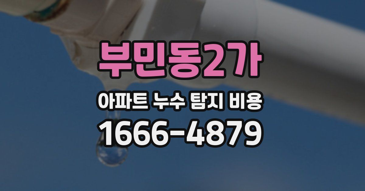 부민동2가 아파트 누수 탐지 비용