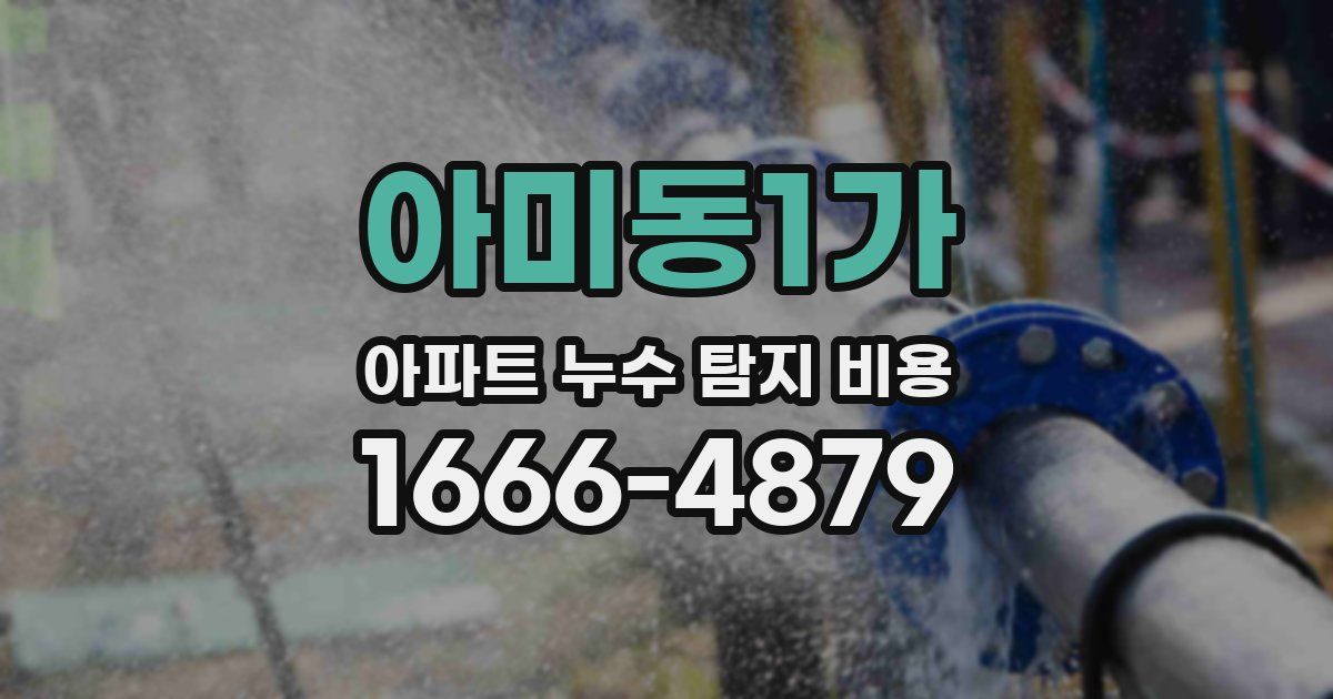 아미동1가 아파트 누수 탐지 비용