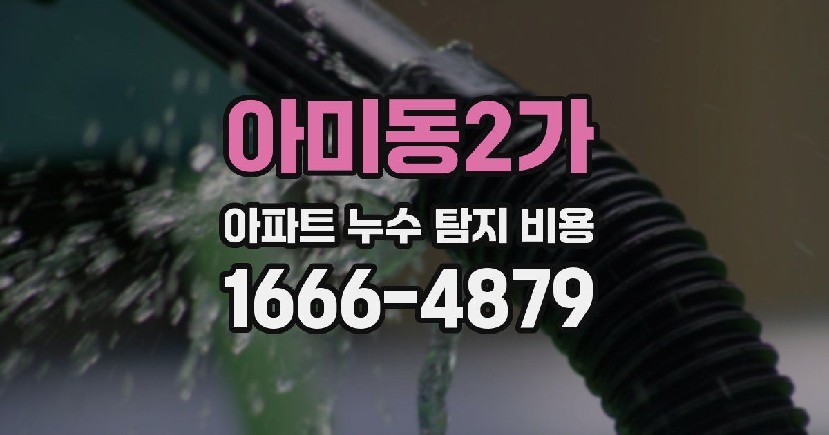 아미동2가 아파트 누수 탐지 비용
