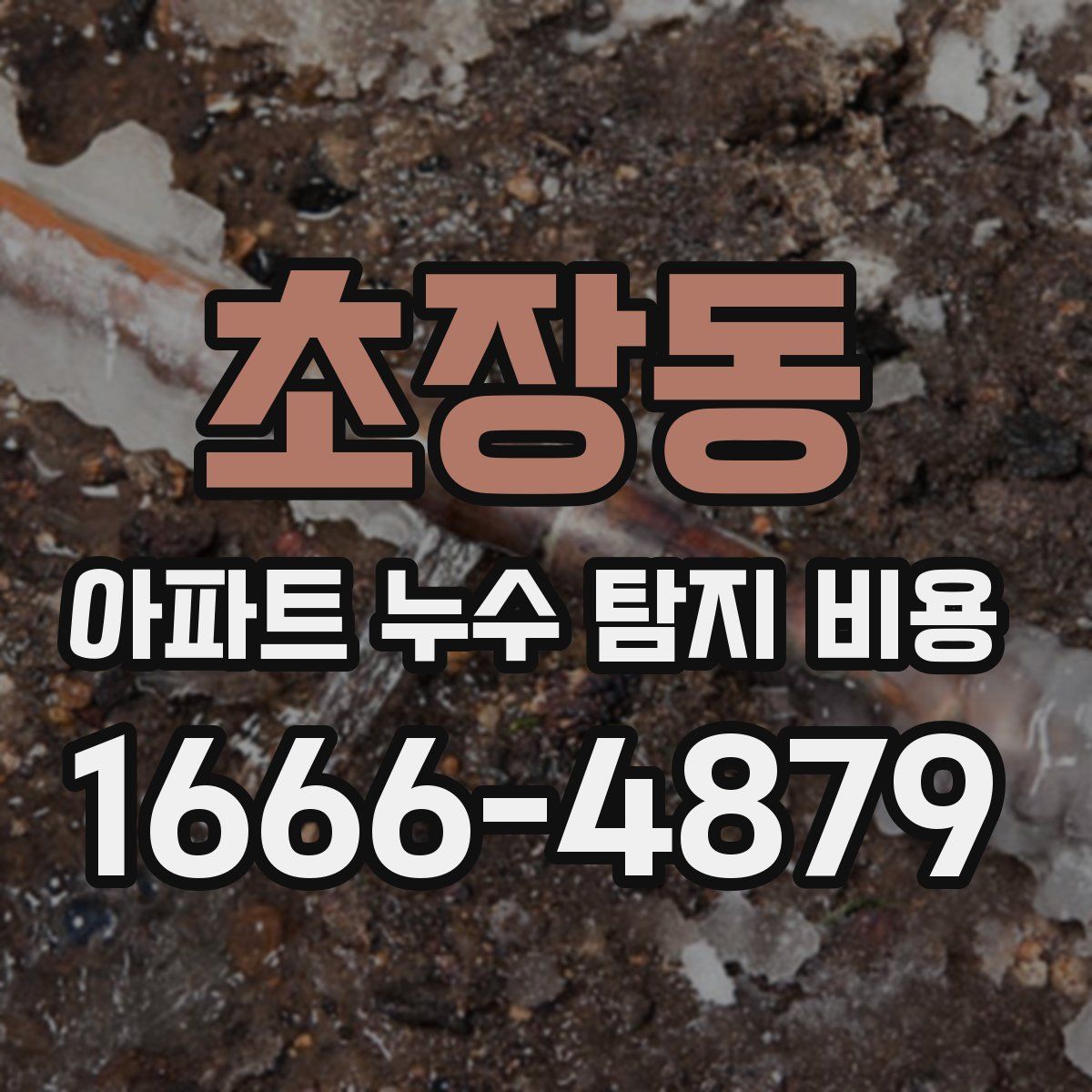 초장동 아파트 누수 탐지 비용
