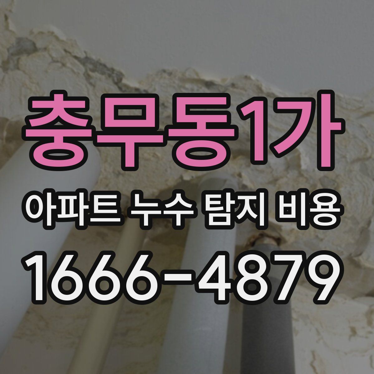 충무동1가 아파트 누수 탐지 비용