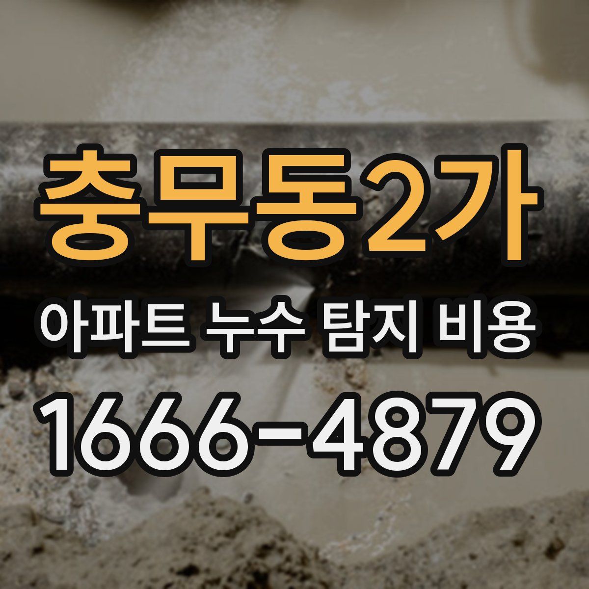 충무동2가 아파트 누수 탐지 비용